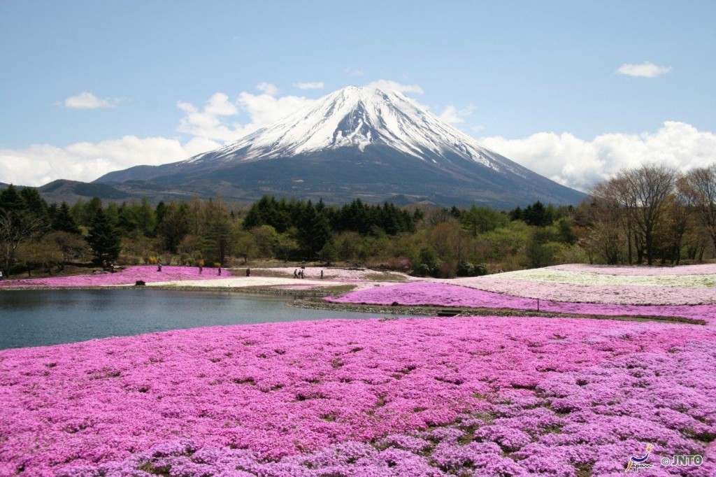 mont fuji